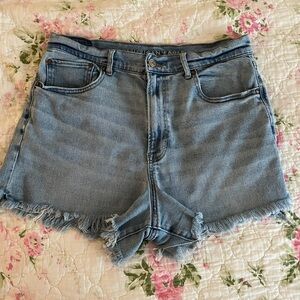 American Eagle Outfitters Light Blue Frayed Jean Shorts
